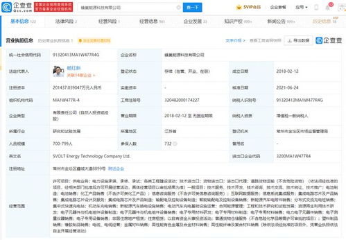 蜂巢能源斬獲Stellantis集團(tuán)160億大單 動力電池產(chǎn)業(yè)全球化競爭下的中國力量